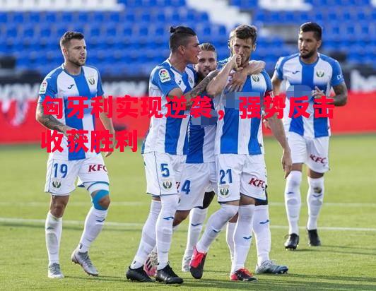 匈牙利实现逆袭,强势反击收获胜利 匈牙利实现逆袭,强势反击收获胜利