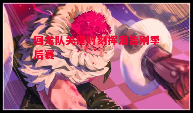 回龙队关键时刻挥泪告别季后赛