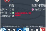 德信app下载-汉诺威96遭遇败局，德甲保级堪忧