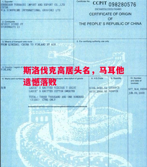 斯洛伐克高居头名，马耳他遗憾落败
