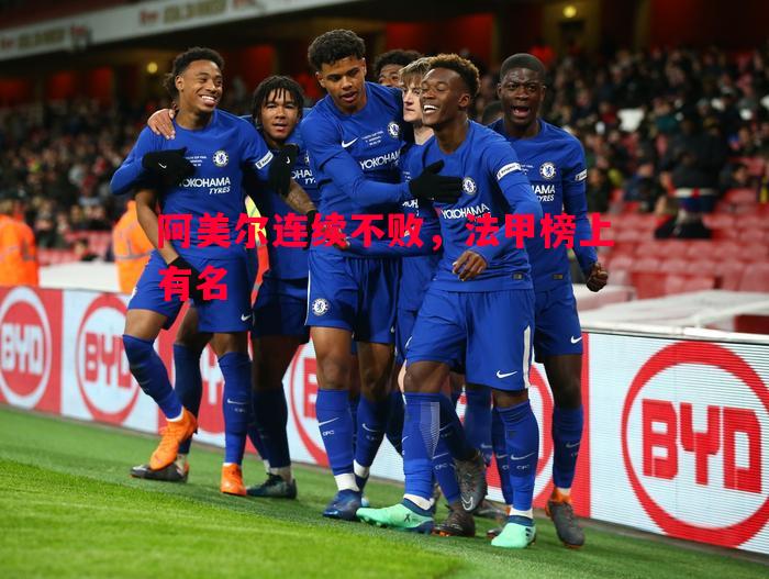 阿美尔连续不败，法甲榜上有名